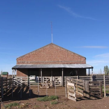 Campo en Telsen 23.000 ha