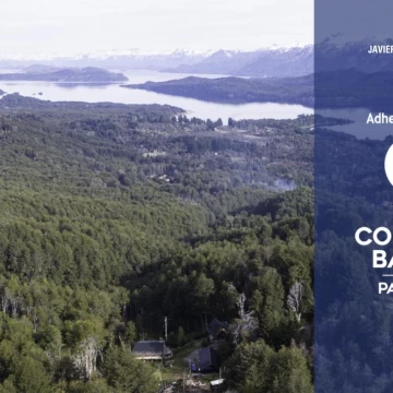 VENTA Lote | Terreno 9.925m2 con vista al lago ideal desarrollo Faldeo del bayo Villa La Angostura