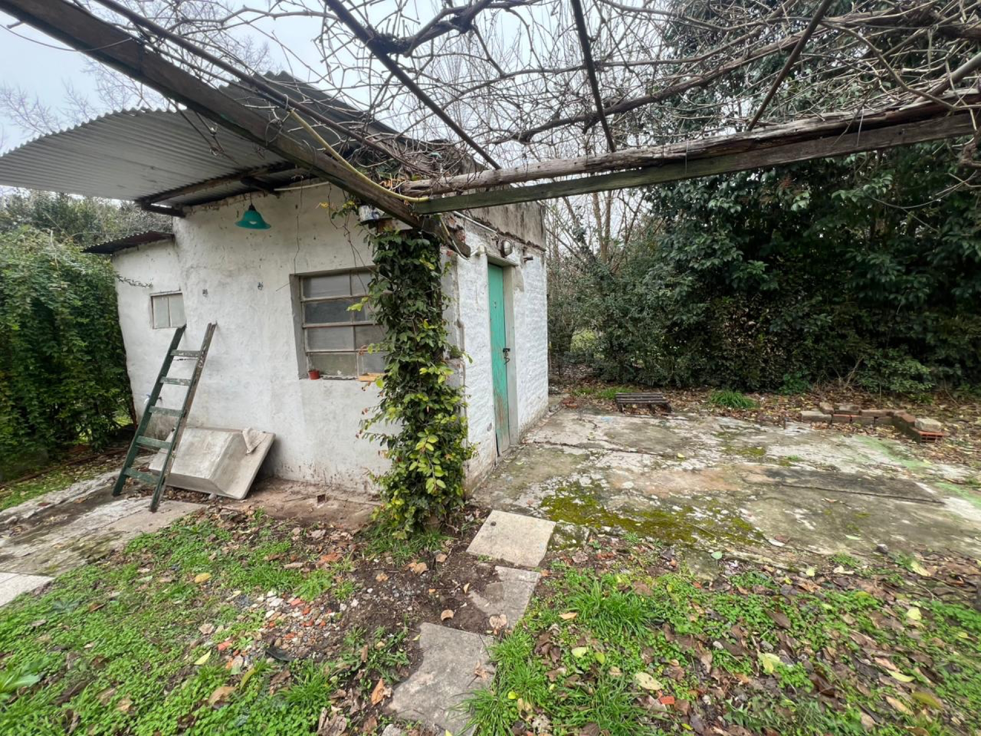 image 16