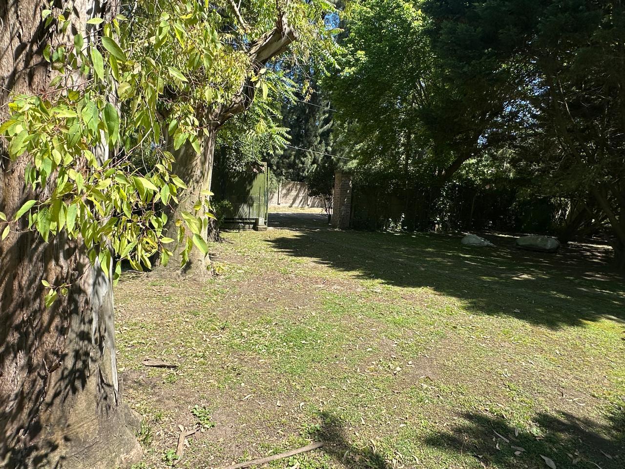 image 42