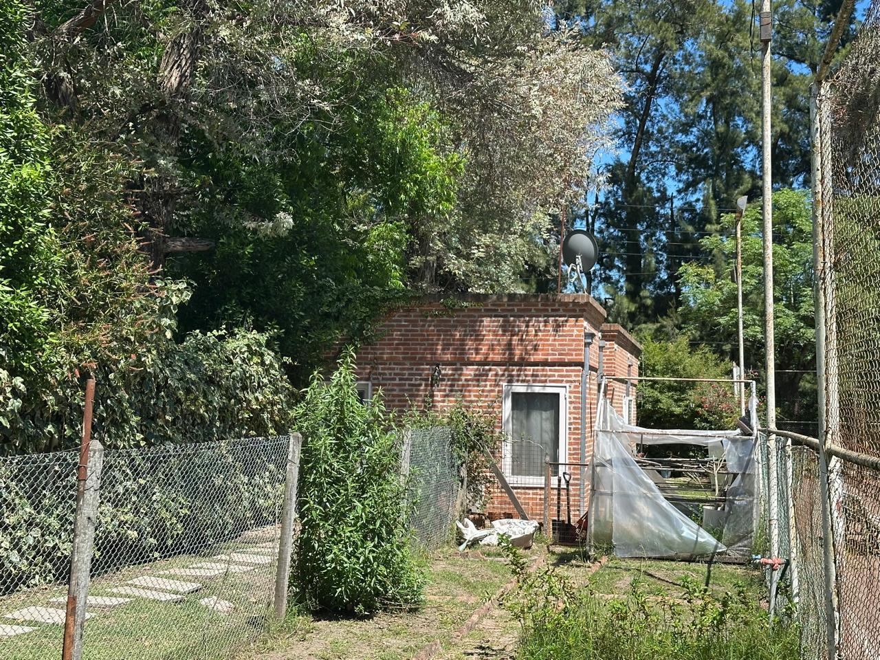 image 49