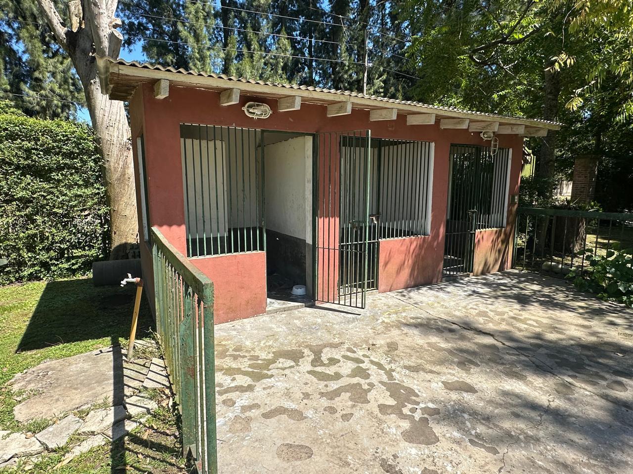 image 50