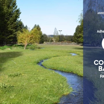 VENTA Lote/Terreno San Martin de los Andes 4342,36m2 Barrio El Pegual San Martín de los andes
