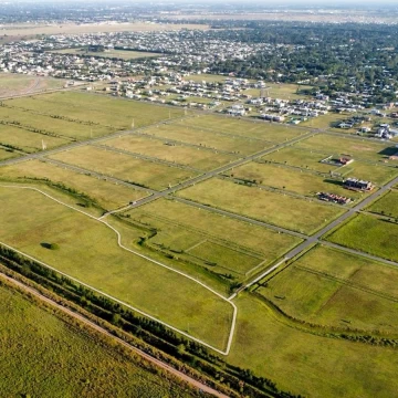 1764961974.jpg