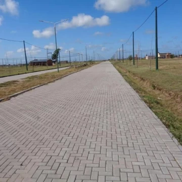 1765131145.jpg