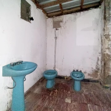 1765296754.jpg