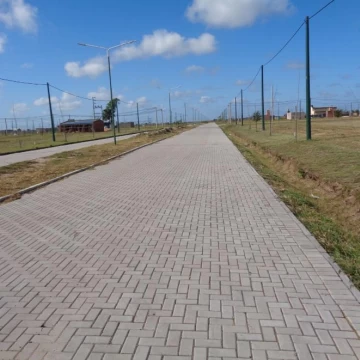 1765307593.jpg