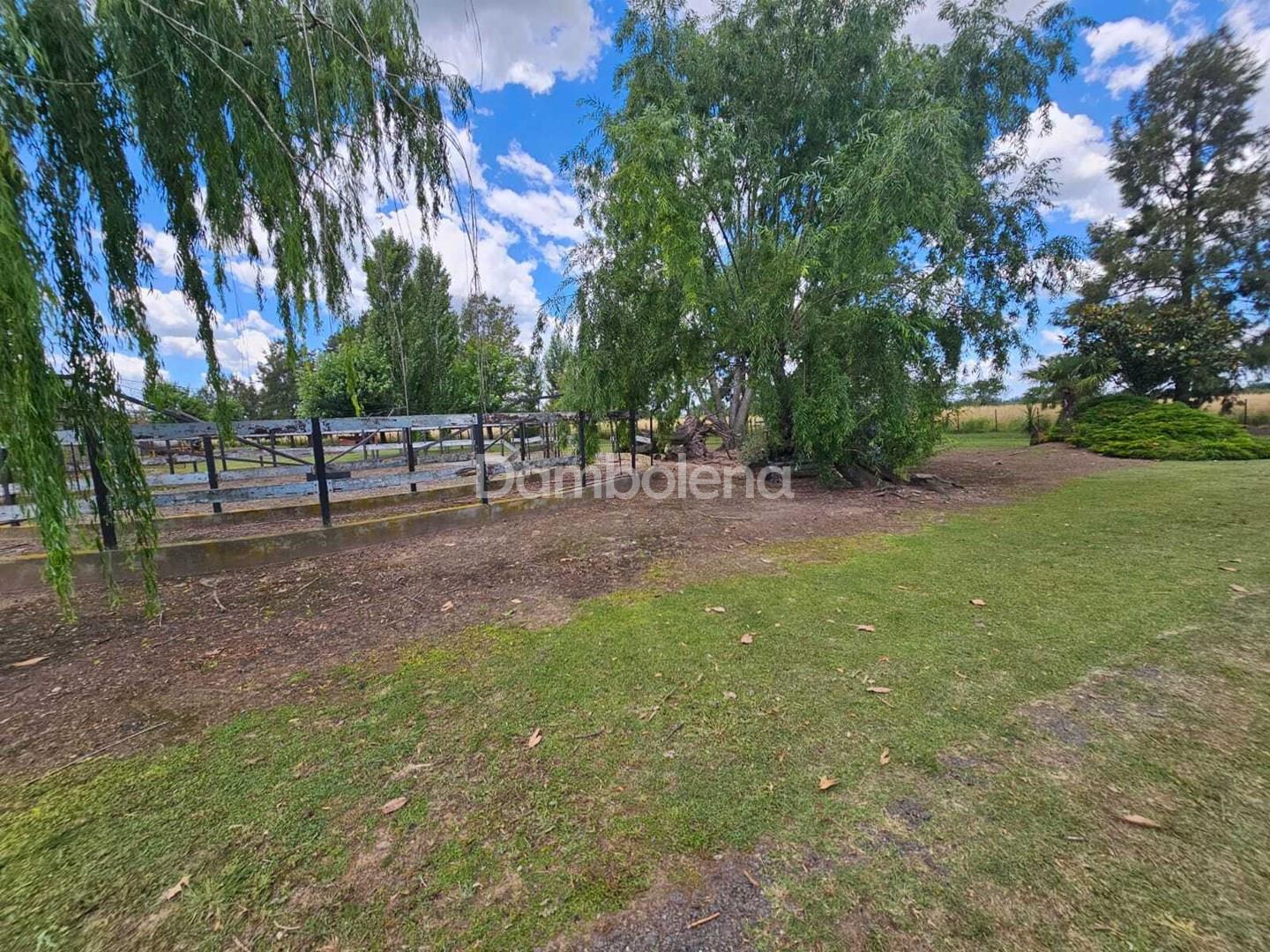 image 25