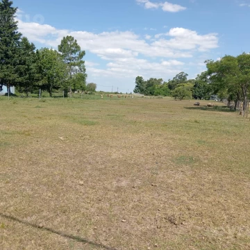 Terreno en Juan Gonzalez