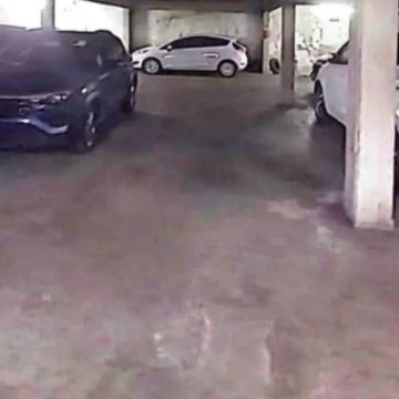 1765390356.jpg