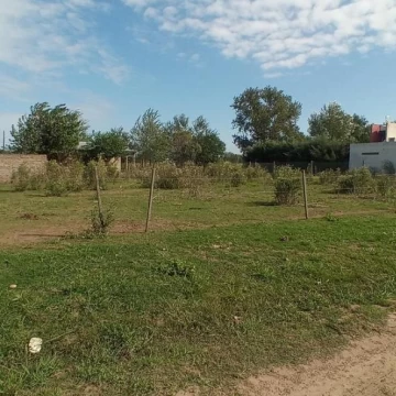 1765393937.jpg