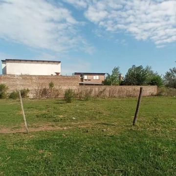 1765393937.jpg