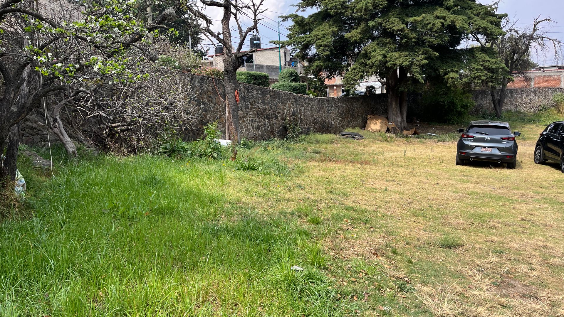 Terreno Xochimilco.6.jpeg
