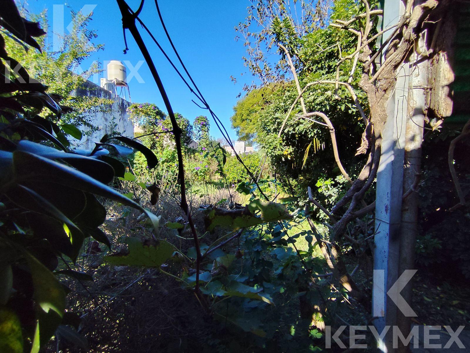 image 32