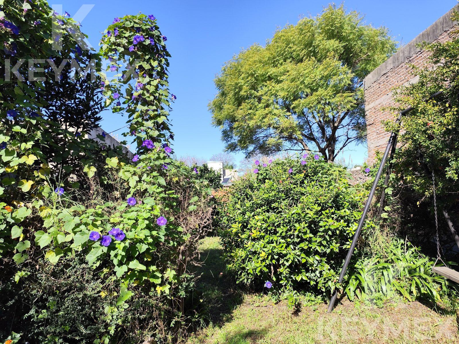 image 36