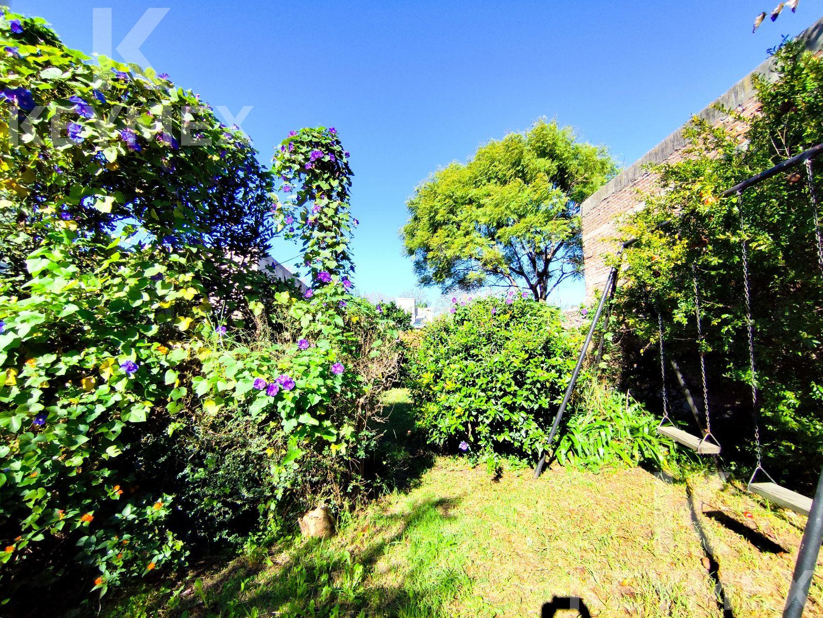 image 37