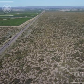 Campo en venta de 16 has en Mendoza