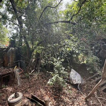 Casa a reciclar con amplio terreno
