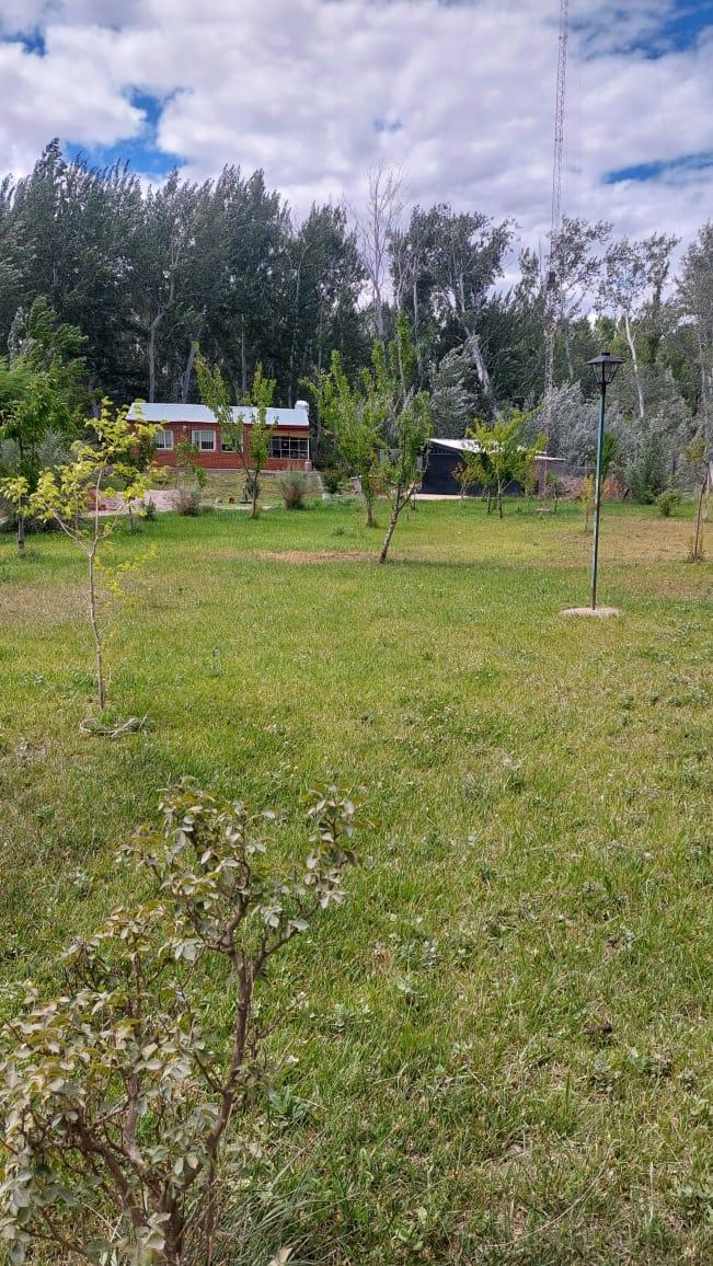 image 41
