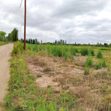 Terreno 1000 m2