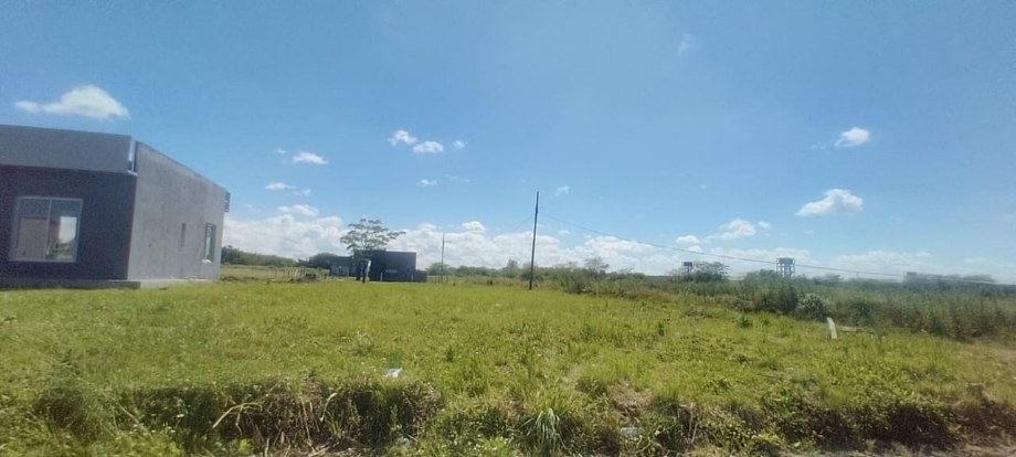 image 16