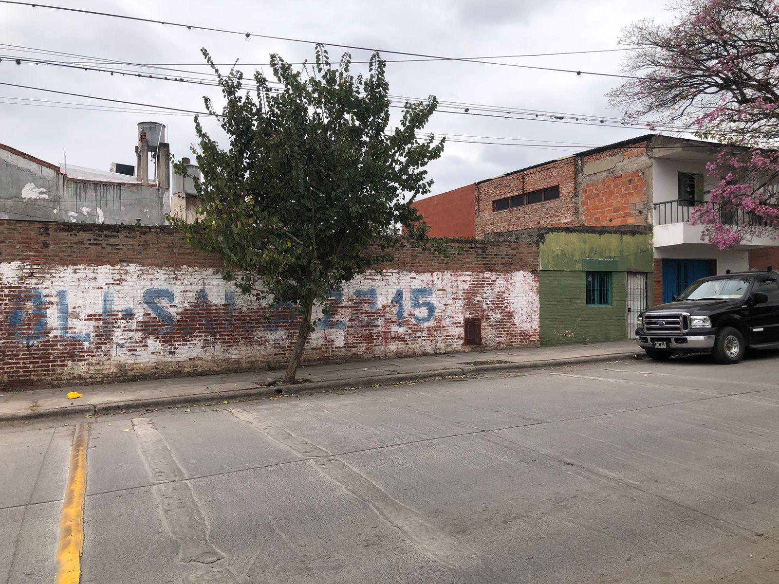 image 13