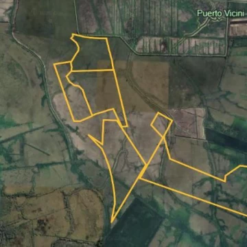 CAMPO EN VENTA 303 HAS. 4TA. SECCION ISLAS PARANA CAMPANA