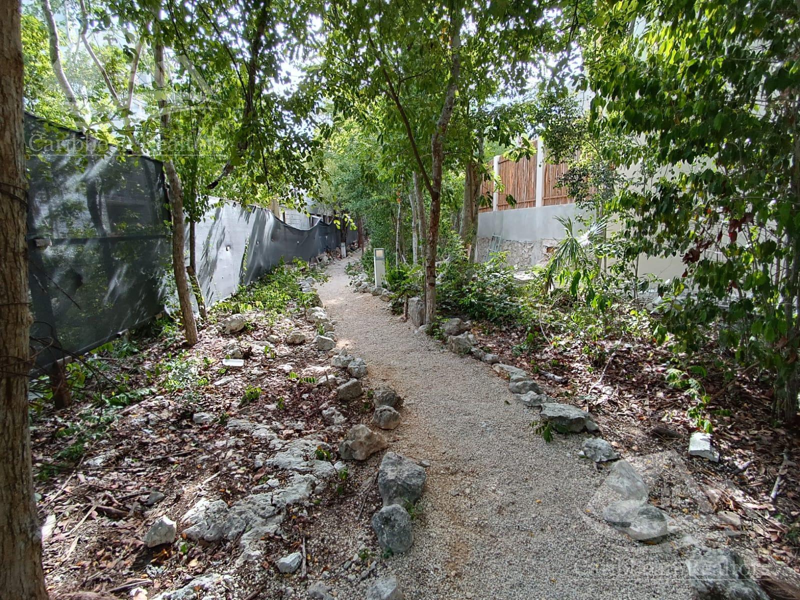 image 63