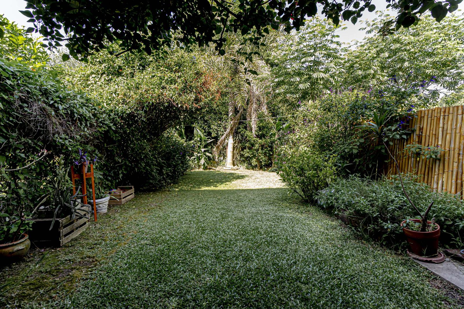 image 33