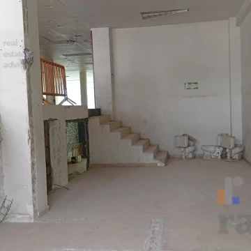 1766164647.jpg