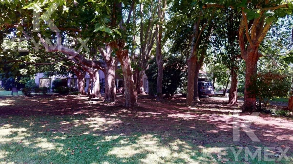 1766419943.jpg