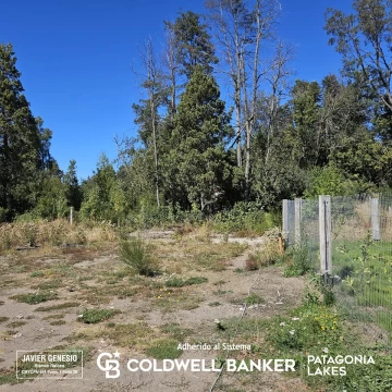 VENTA Lote/Terreno 263.22 m2 planos aprobados Cacique Antriao 650 Barrio Norte Villa la Angostura