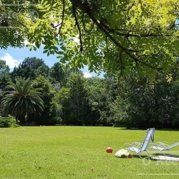 Quinta en venta Brandsen Con escritura y gran potencial.