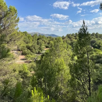 Lote de 5770m2 Vistas, Arboles, Excelente ubicación!!!