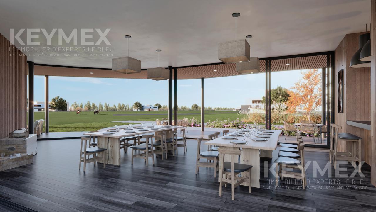 image 31