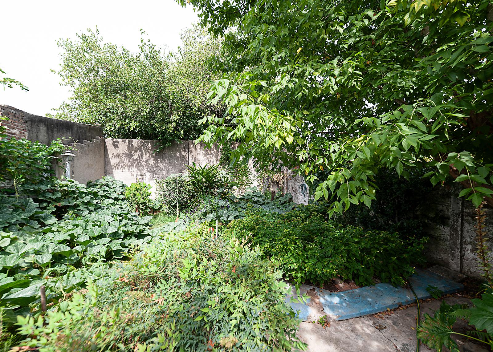 image 36