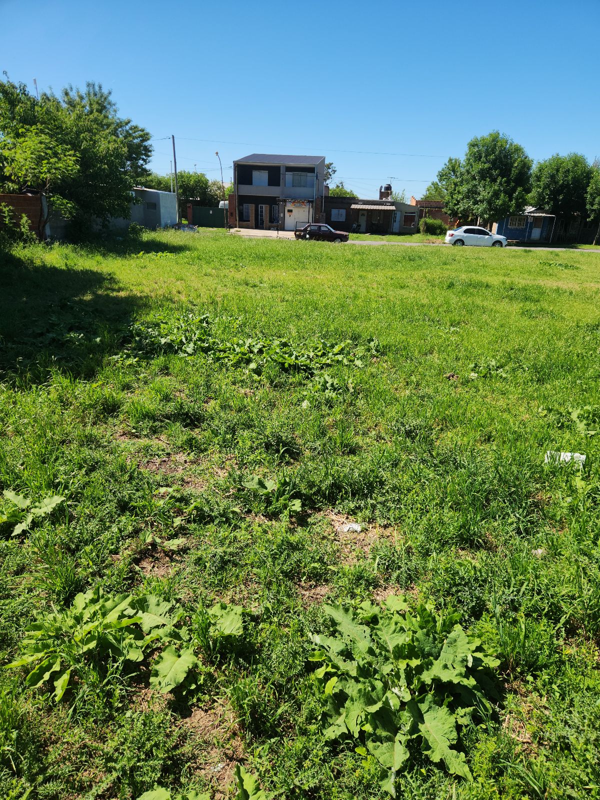 image 15