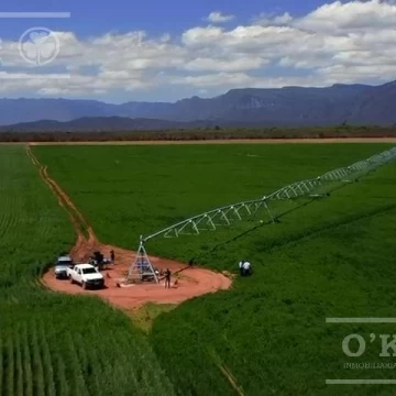 Campo mas Reserva Privada  en venta de 6300 has  en Gral Guemes ,Salta(Facilidades y Permutas)