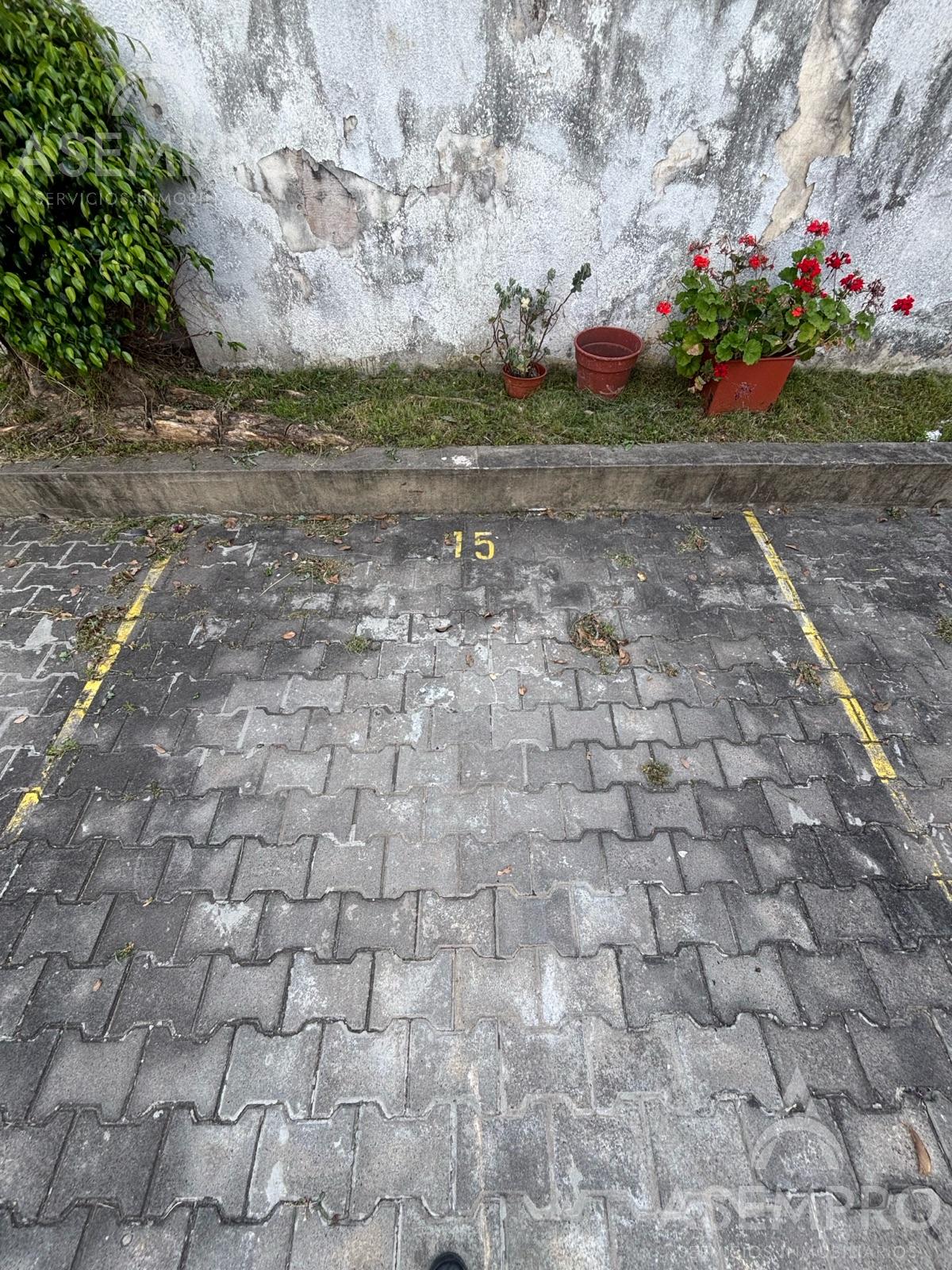 image 31