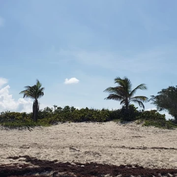 Terreno Hotelero - Residencial en Isla Blanca VENTA