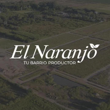 1767795146.jpg