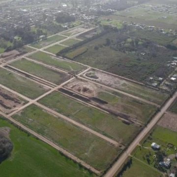 1767816748.jpg