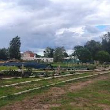 1767816750.jpg