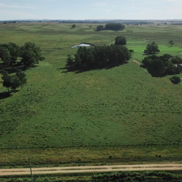 Chacra de 10 ha en venta en Garzón a 15 minutos de José Ignacio