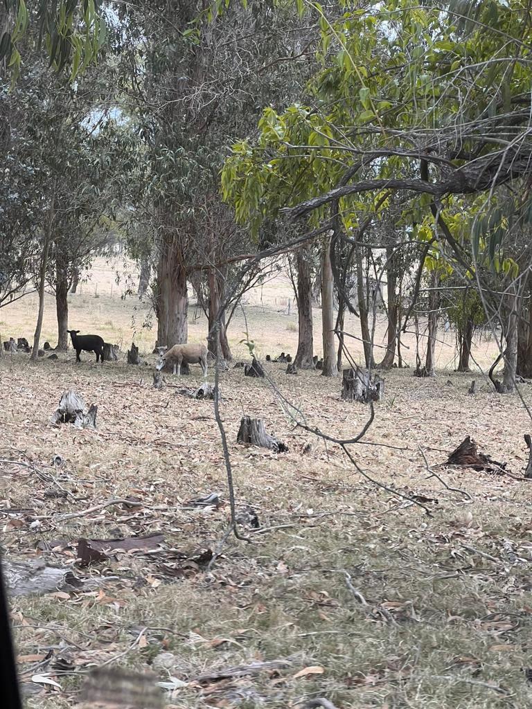 image 10