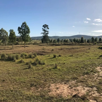 Chacra rural de 5 ha a 30 minutos de Punta del Este