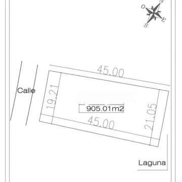 1767882253.jpg