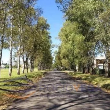 1767889539.jpg