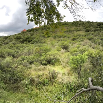 Terreno de 5800m2 en Lomita de San Luis, La Cumbre