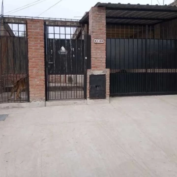 PAVON 4100